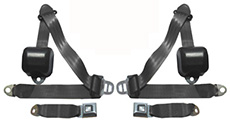 1993 Mustang Seat Belts