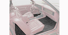 1981 Mustang Carpet
