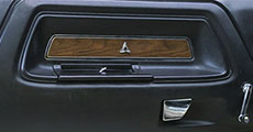 Dodge Door Panels
